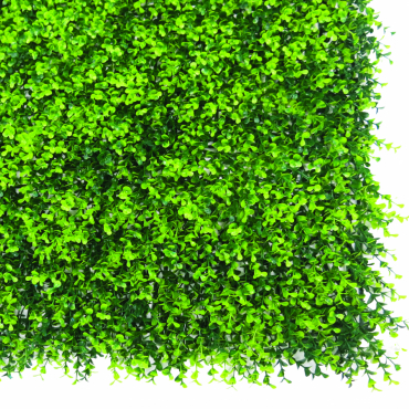 NORT VERTICAL BUXUS 1x1m ZÖ x6