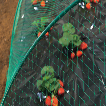 BIRDNET Madárháló fekete 8x10 m