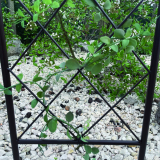 Classic Metal Trellis barna 1,2 m