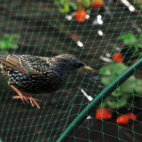 BIRDNET Madárháló fekete 8x10 m